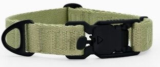 THE DOG IDEA Hundehalsband aus Nylon in Grün Größe M – Bild 1 von 3