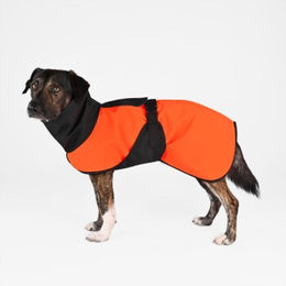 THE DOG IDEA Hundemantel Trail Regenmantel waterproof Orange Größe S – Bild 1 von 2