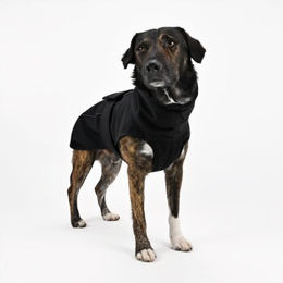 THE DOG IDEA Hundemantel Winter Schwarz Fleece Waterproof Größe S – Bild 1 von 2