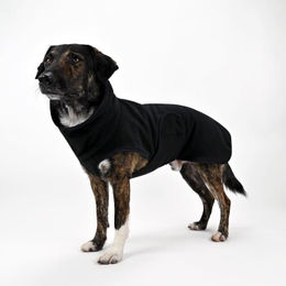 Produktbild von THE DOG IDEA Hundepullover aus Fleece in Schwarz Größe S