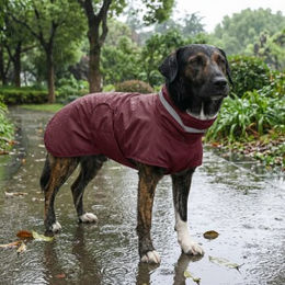 Produktbild von THE DOG IDEA Regenmantel Kayden Bordeaux für Hunde in Rot XXS waterproof