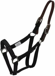 Produktbild von ThinLine Free Spacious Nose Pferdehalfter aus Leder in Schwarz Größe M