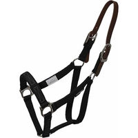 Produktbild von ThinLine Thinline Weidehalfter für Weidemaulkörbe Cob in Schwarz oder Weiß