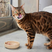 Produktbild von thrive Katze Complete Suppe mit 100% Hühnerbrust und Geflügelleber getreidefrei 12er Pack
