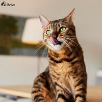 Produktbild von thrive Katze Complete Suppe mit Thunfisch und Lachs Stückchen in Sauce getreidefrei 12er Pack