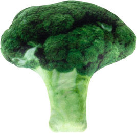 Produktbild von TIAKI Hundespielzeug Quietschspielzeug Broccoli aus Polyester in Grün und Bunt