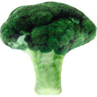 Produktbild von TIAKI Hundespielzeug Quietschspielzeug Broccoli aus Polyester in Grün und Bunt