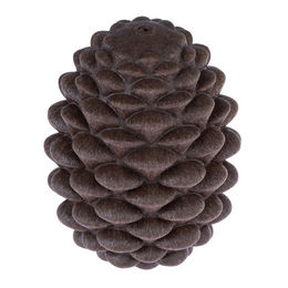 Produktbild von TIAKI Intelligenzspielzeug Kiefernzapfen aus TPR Braun 12 x 9 x 9 cm