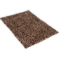 Produktbild von TIAKI Kuscheldecke Leo Hundedecke aus Polyester 100 x 70 cm