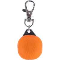 Produktbild von TIAKI Leuchtanhänger Nordlicht aus Silikon in Orange