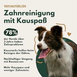 TIER HELDEN Rinderkopfhautplatten für Hunde getrocknet getreidefrei 1kg – Bild 1 von 3