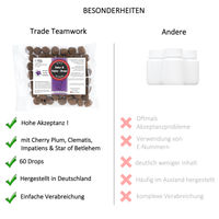Produktbild von TierGlück Relax & Enjoy Drops mit Bachblüten zur Beruhigung für Hunde 92ml