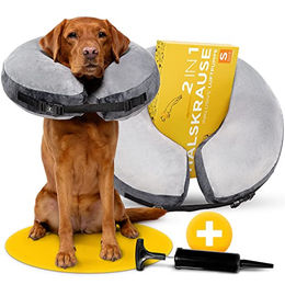 tierhood Halskrause Hund aufblasbar aus Velours Grau Größe S – Bild 1 von 5