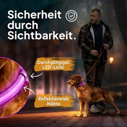 Tierhood LED Leuchthalsband für Hunde, wasserdicht und aufladbar, Lila, Größe L - 1 Stk. – Bild 1 von 8