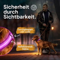 Produktbild von Tierhood LED Leuchthalsband für Hunde, wasserdicht und aufladbar, Lila, Größe L - 1 Stk.