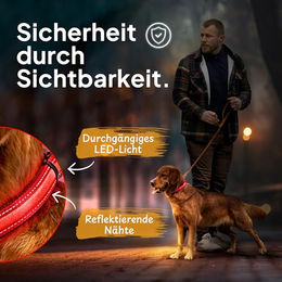 Tierhood LED Leuchthalsband für Hunde wasserdicht und aufladbar Rot Größe M - 1 Stk. – Bild 1 von 8