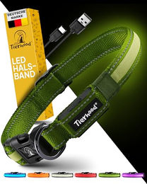 Tierhood LED Leuchthalsband für Hunde wasserfest und aufladbar Grün Größe L - 1 Stk. – Bild 1 von 8