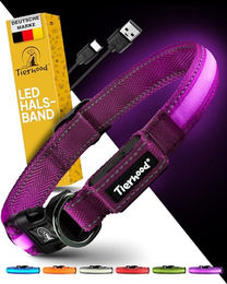 Tierhood LED Leuchthalsband für Hunde, wasserfest und wiederaufladbar, Lila, Größe S - 1 Stk. – Bild 1 von 8