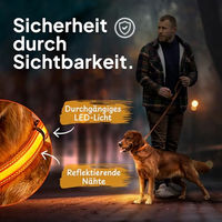 Produktbild von Tierhood LED Leuchthalsband für Hunde, wasserfest und wiederaufladbar, Orange, Größe S - 1 Stk.