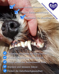 Produktbild von Tierhygiene24 TEEF Zahnpflege Pulver