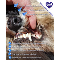 Produktbild von Tierhygiene24 TEEF Zahnpflege Pulver