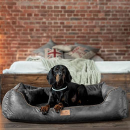 tierlando Alberto Orthopädisches Hundebett mit abnehmbarem Velours-Bezug in Graphit Schwarz Größe 100x75cm – Bild 1 von 6