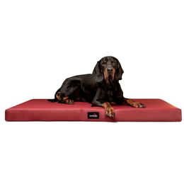 tierlando Alice Easy Clean Orthopädische Hundematratze aus Kunstleder Rot 80x60cm – Bild 1 von 5
