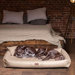 tierlando Clifford VIP Orthopädische Hundematratze mit Latexkern in Beige 85x60cm – Bild 1 von 8