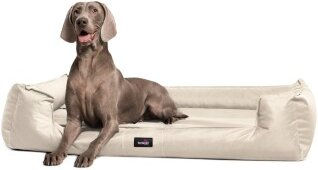 Tierlando GOOFY Orthopädisches Hundebett aus Polyester mit Matratzenschoner Beige 1,3 m x 1 m x 25 cm – Bild 1 von 2
