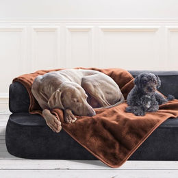 tierlando Hundedecke Lilly flauschige Plüschdecke für Hunde und Katzen in Braun XL - 150 cm – Bild 1 von 4