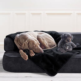 tierlando Hundedecke Lilly flauschige Plüschdecke für Hunde und Katzen Schwarz Größe L – Bild 1 von 4