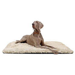 tierlando Hundeliegedecke Shary Hundematte aus Zottelplüsch in Beige 60x45cm – Bild 1 von 6