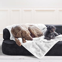 tierlando Lilly Hundedecke Plüschdecke für Hunde und Katzen Weiß Größe L – Bild 1 von 4