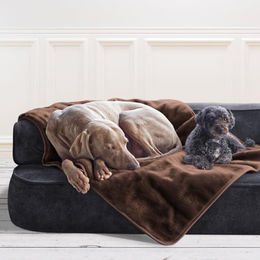 tierlando Lilly Hundedecke und Haustierdecke aus Plüsch für Hunde und Katzen XL Braun - 150 cm – Bild 1 von 4