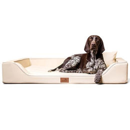 tierlando Melody Orthopädisches Hundebett mit Latex-Matratze aus allergikerfreundlichem Kunstleder Beige 120x80cm – Bild 1 von 8