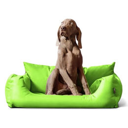 tierlando NEMO Hundebett aus robustem Oxford 600D mit herausnehmbarer Matratze und waschbarem Bezug für kleine und mittelgroße Hunde Größe M 80x60cm Farbe Kiwi Grün – Bild 1 von 9