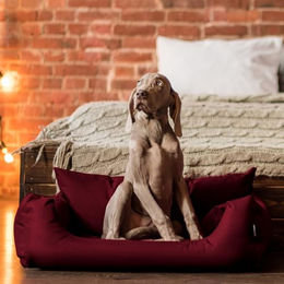 tierlando NEMO Hundebett für kleine und mittelgroße Hunde aus robustem Oxford 600D mit herausnehmbarer Matratze und waschbarem Bezug Größe L 100x80cm Farbe Bordeaux Rot – Bild 1 von 6