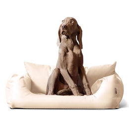 tierlando NEMO Hundebett für kleine und mittelgroße Hunde aus robustem Oxford-Material in Beige Größe S – Bild 1 von 6
