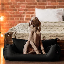 tierlando NEMO Hundebett für kleine und mittelgroße Hunde aus robustem Oxford Polyester in Schwarz Größe S – Bild 1 von 6