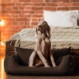 tierlando NEMO Hundebett für kleine und mittelgroße Hunde in Braun mit herausnehmbarer Matratze und waschbarem Bezug Größe M - 100 cm – Bild 1 von 5