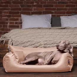 tierlando NEMO Hundebett für kleine und mittelgroße Hunde mit herausnehmbarer Matratze und waschbarem Bezug Beige Größe M – Bild 1 von 6