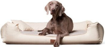 Tierlando Nonplusultra LINUS orthopädisches Hundebett Visco PLUS aus Kunstleder Creme 90 cm – Bild 1 von 3