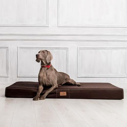 tierlando Orthopädische Hundematratze Basic aus Polyester in Braun Größe M – Bild 1 von 2