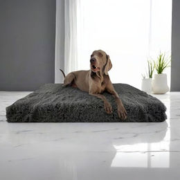 tierlando Orthopädische Hundematratze Pitt Shaggy Ortho Plus mit Plüsch-Bezug in Graphit Grau 150x100cm - 1,5 m – Bild 1 von 7