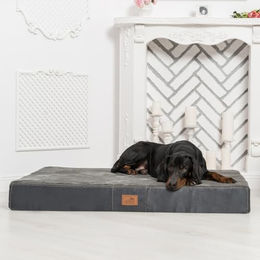 tierlando Orthopädische Hundematratze Stuart Ortho Plus mit Memory Foam 80x60cm Graphit – Bild 1 von 5