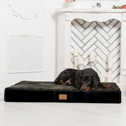 tierlando Orthopädische Hundematratze Stuart Ortho Plus mit Memory Foam in Schwarz 80x60cm – Bild 1 von 9