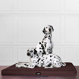 tierlando Orthopädische Visco Hundematratze Alice aus Polyester 600D Braun 80x60cm – Bild 1 von 5