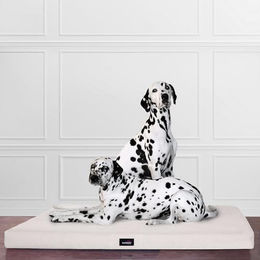 tierlando Orthopädische Visco Hundematratze Alice für Senior Hunde Beige 80x60cm – Bild 1 von 3