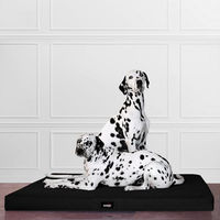 Produktbild von tierlando Orthopädische Visco Hundematratze Alice Schwarz 120x90cm aus robustem Polyester 600D