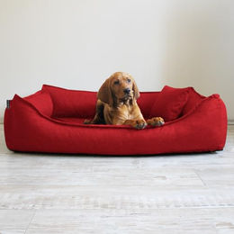 tierlando Orthopädisches Hundebett Donald mit Viscoschaum Matratze und Oxford Polyester Bezug Dunkelrot Größe L - 150 cm – Bild 1 von 4